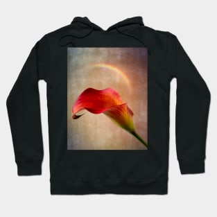 Calla lily Beauty Still life Hoodie